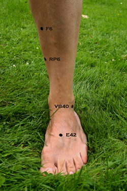 Point de pression de la jambe utilisés dans le shiatsu thérapeutique